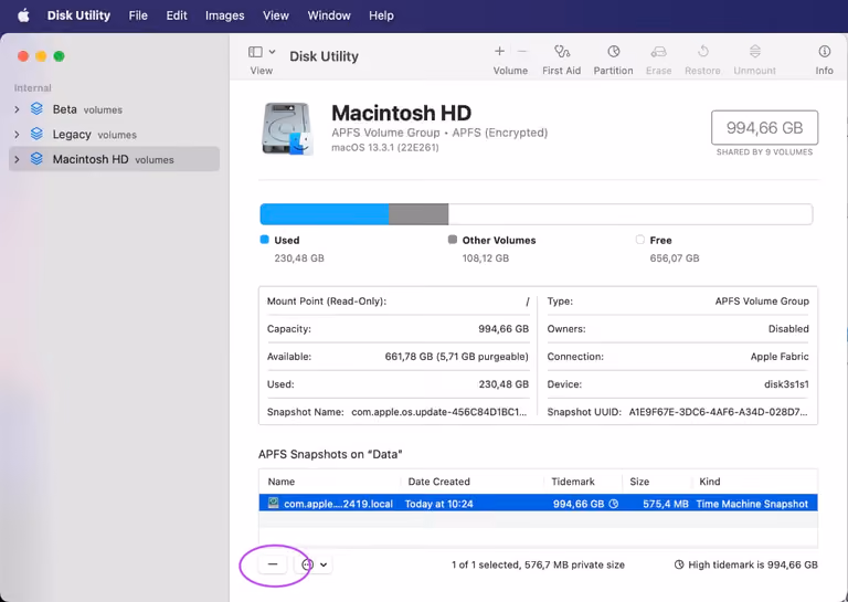 Screenshot: Delete APFS Snapshots in Disk Utility