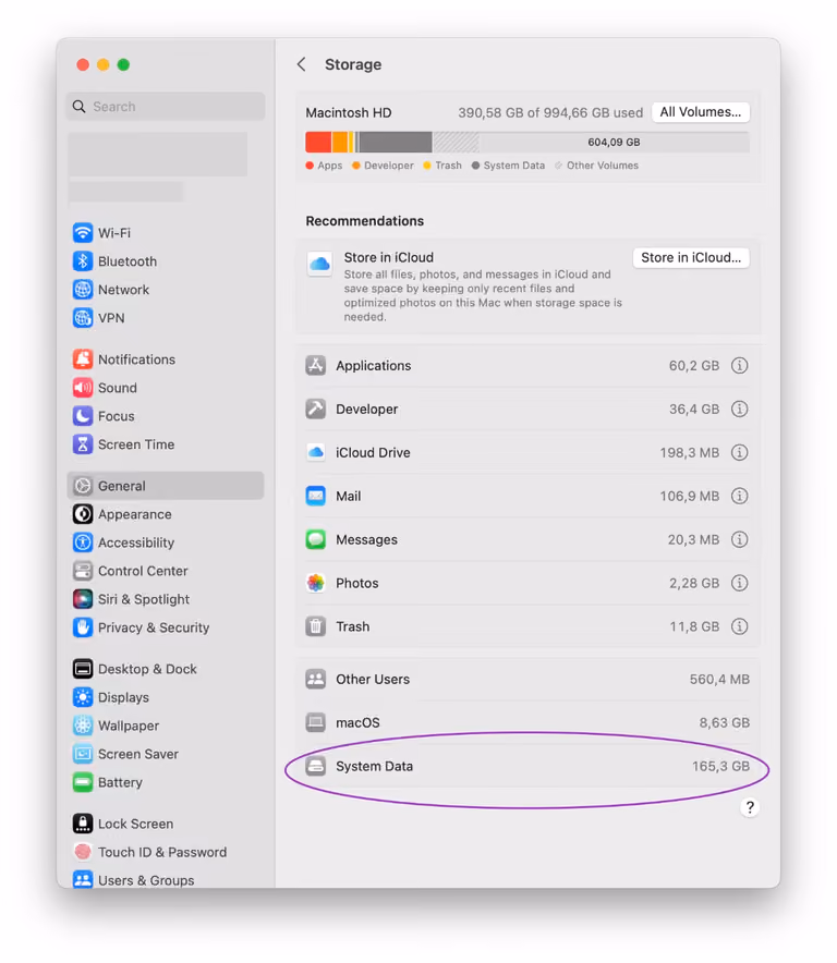 Screenshot: Storage overview in macOS System Settings with System Data taking up over 100 GB