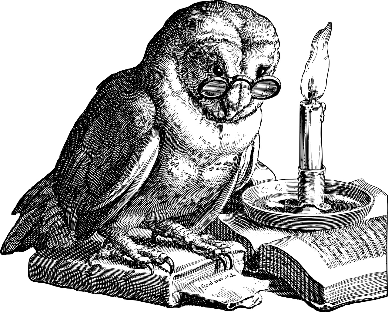Illustration of an owl doing research