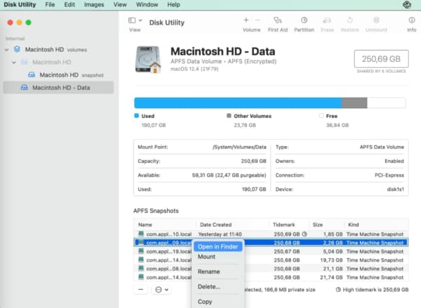 Screenshot: Mount APFS snapshot in Disk Utility